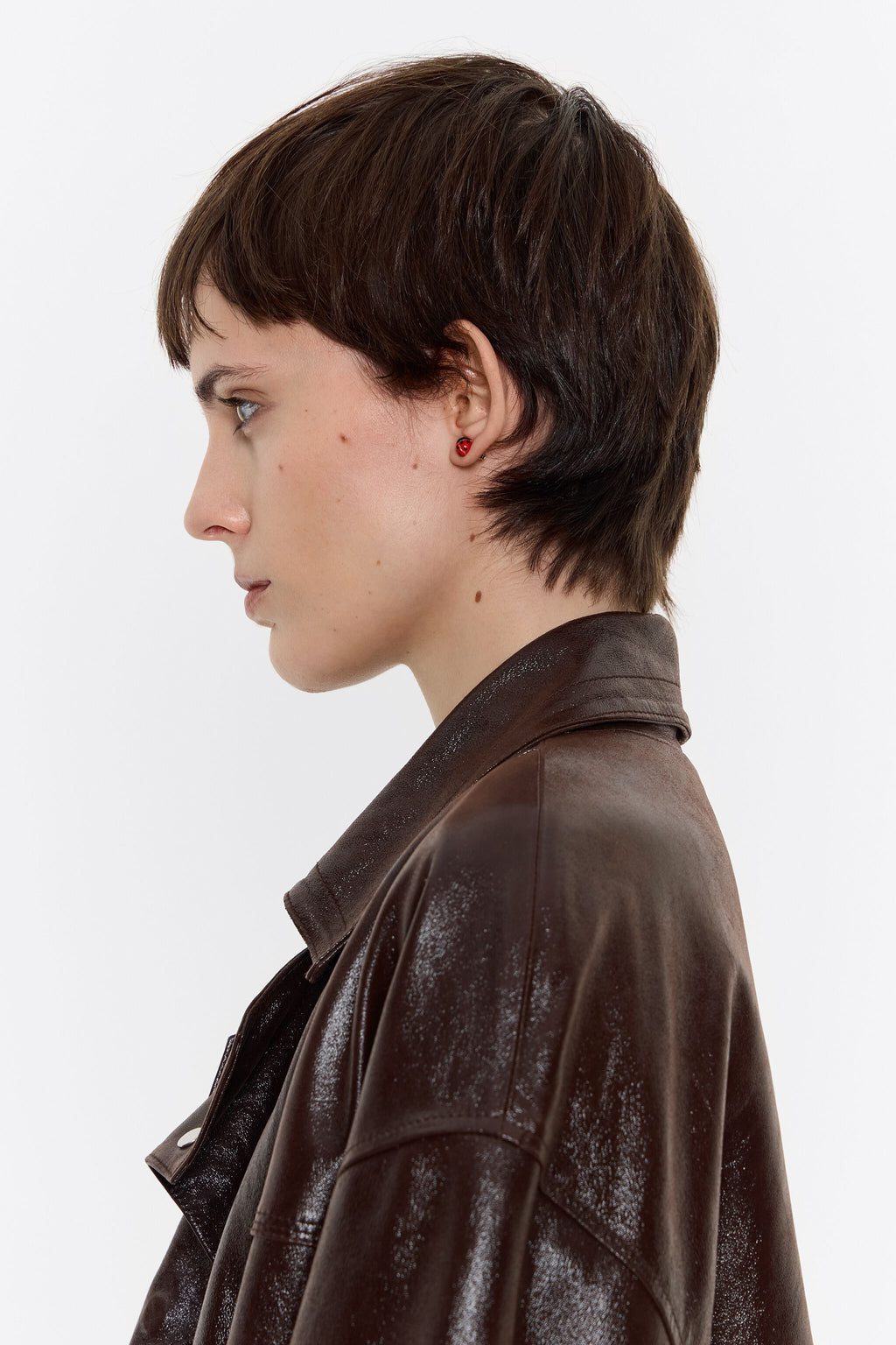 Mini golden ladybug earrings