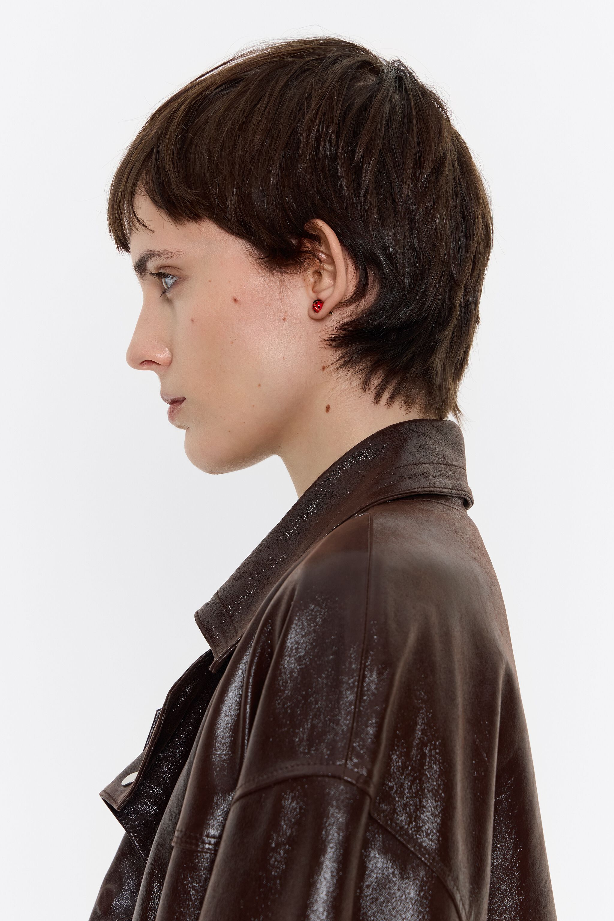 Mini golden ladybug earrings