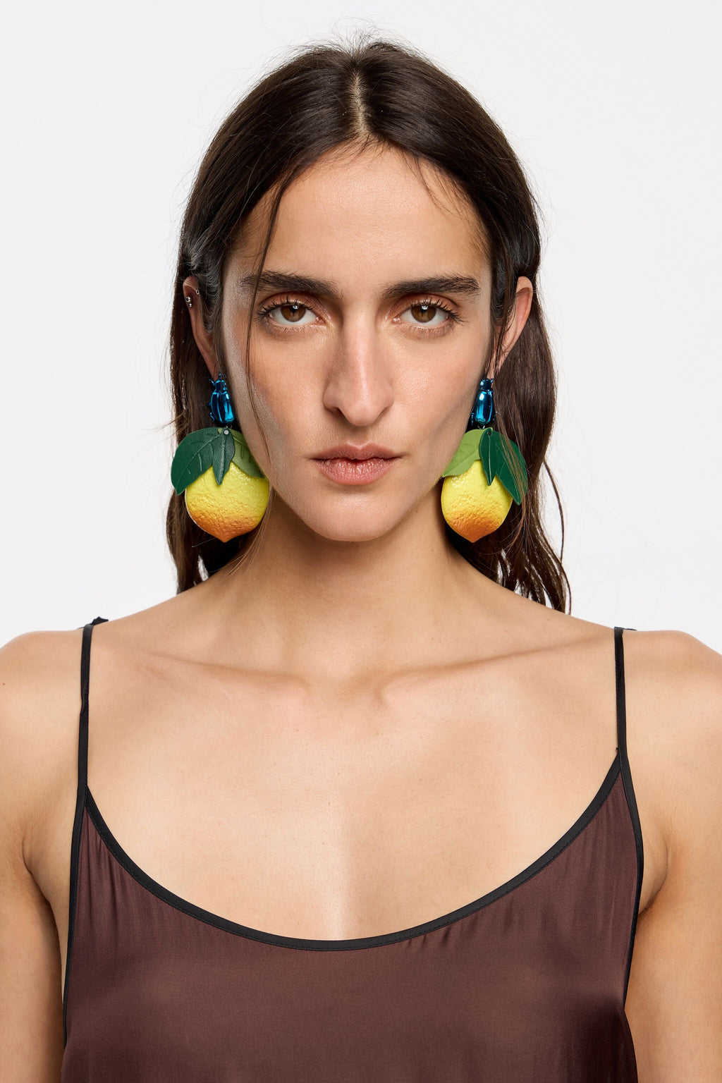 Blue beetles and lemons earrings