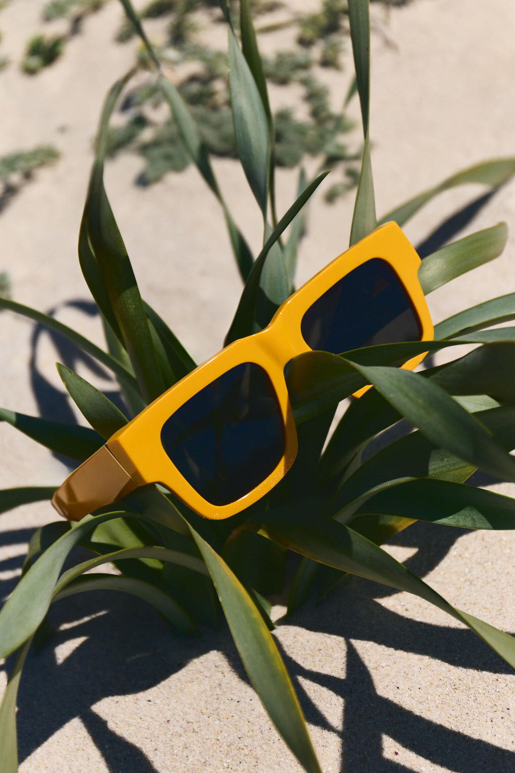 Mustard Mega BIMBA Y LOLA by RSF" sunglasses
