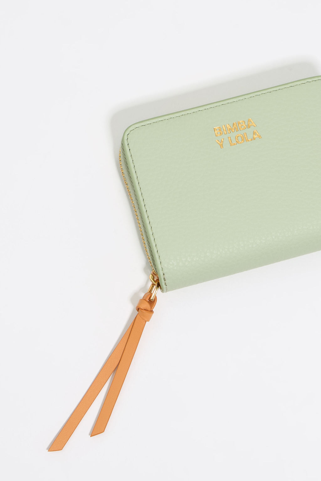 Pastel green leather coin purse