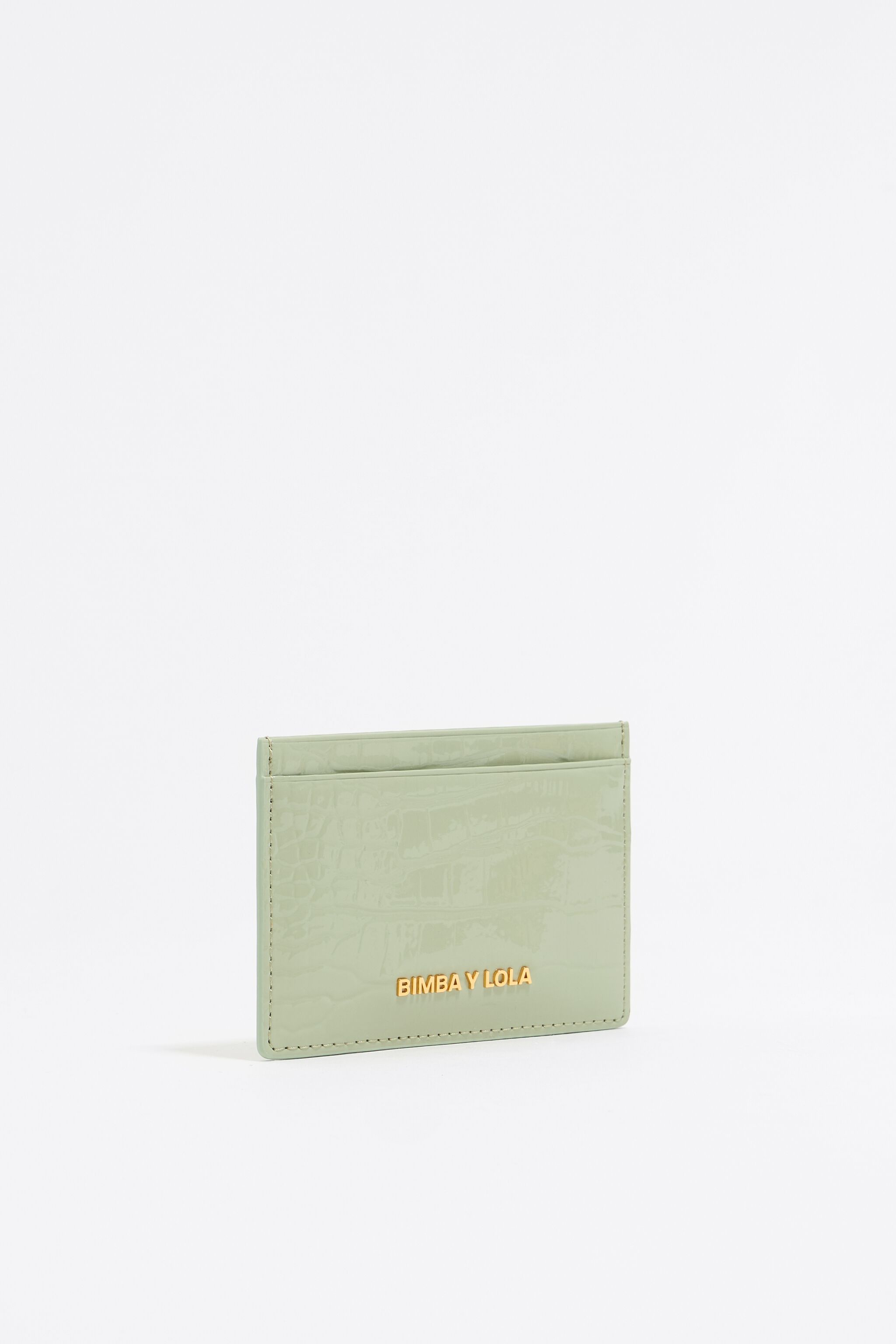 Pastel green mock croc card holder