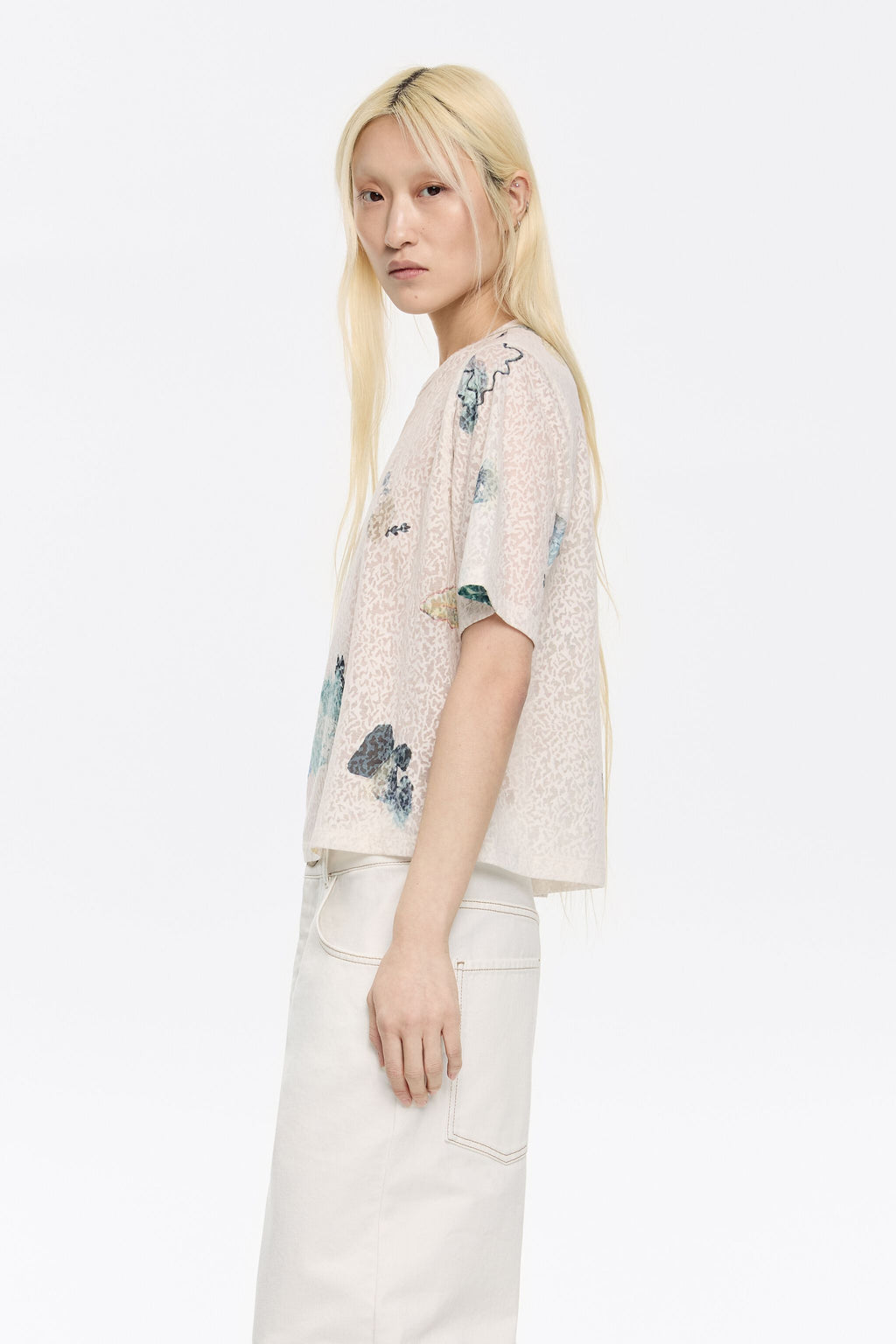 Ivory Chameleon devoré boxy T-shirt